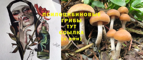 прущая мука Вязьма