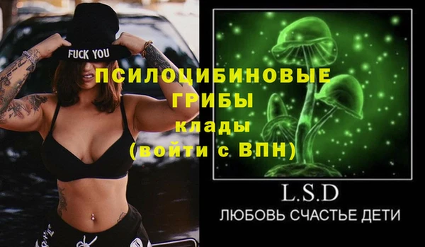 соль ск Вязники